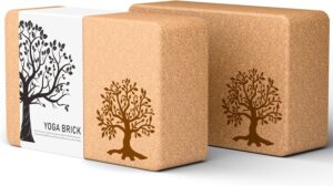 Cork Yoga Blocks 2 Pack Set, Natura...