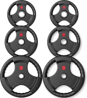 GIKPAL Olympic Weight Plates, 2-Inc...